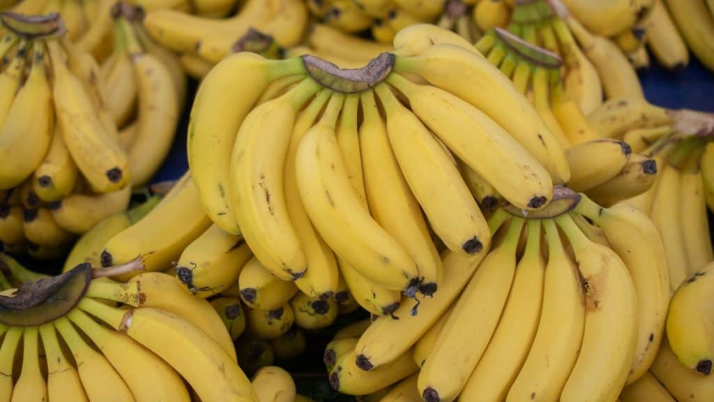 buah yang tidak boleh dimakan oleh pesakit buah pinggang