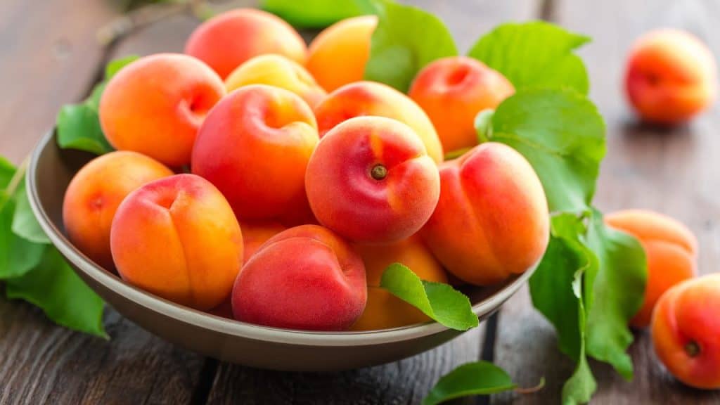 buah yang tidak boleh dimakan oleh pesakit buah pinggang