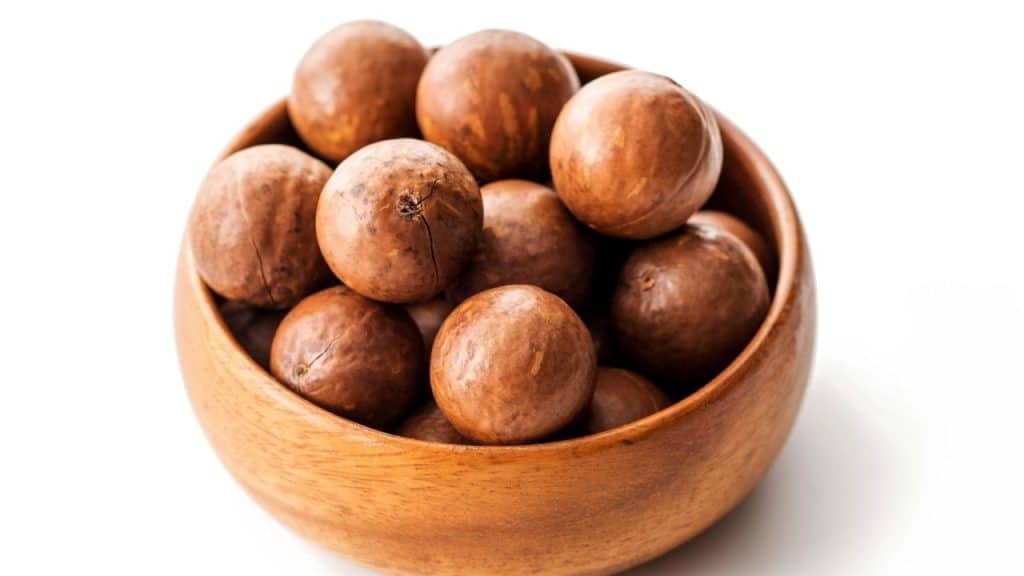 kacang macadamia