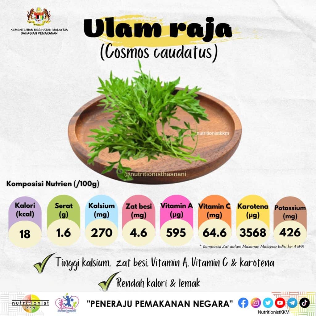 ulam raja